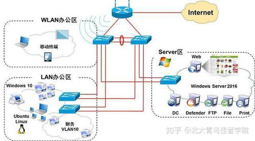 學習北大青鳥網絡工程，開啟職業新篇章