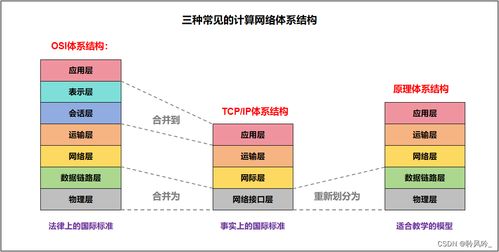計(jì)算機(jī)網(wǎng)絡(luò)導(dǎo)論 探索網(wǎng)絡(luò)世界的奧秘與軟件技術(shù)開發(fā)