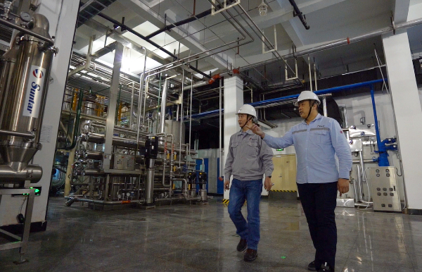 三年磨一劍 象嶼生物飼料研發(fā)獻禮環(huán)境日