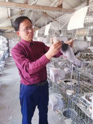 新江蘇·新農(nóng)人 | 徐善金 小鴿子“孵”出大產(chǎn)業(yè) 生物飼料研發(fā)