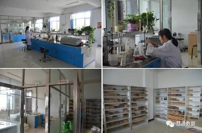 大地肽寶 生物發(fā)酵飼料研發(fā)的創(chuàng)新突破與應用前景