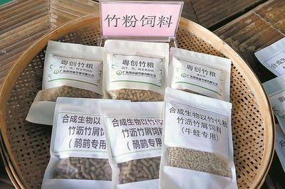 清遠(yuǎn)英德西牛鎮(zhèn) 打造“以竹代塑”“以竹代糧”綠色產(chǎn)業(yè)，推動(dòng)生物飼料研發(fā)