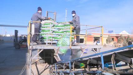 張掖市人民政府推動(dòng)生物飼料研發(fā)，助力農(nóng)業(yè)綠色發(fā)展