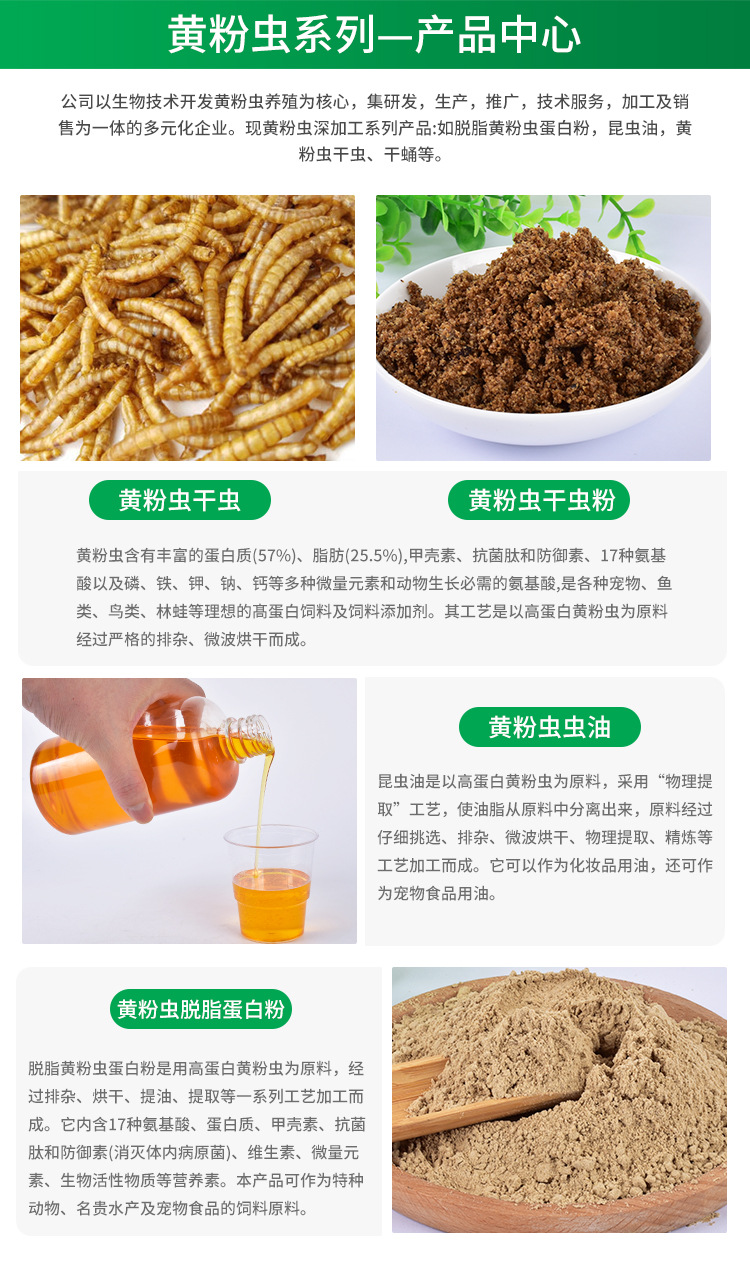 面包蟲干 小身材大營養，一站式全寵物營養解決方案