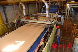 廣西三威林產工業 以創新研發驅動產業升級，生物飼料產品引領綠色新賽道