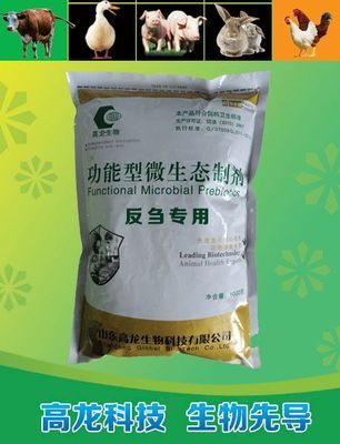 利康源牛用益生菌助力育肥牛提前出欄，生物飼料研發引領養殖新趨勢